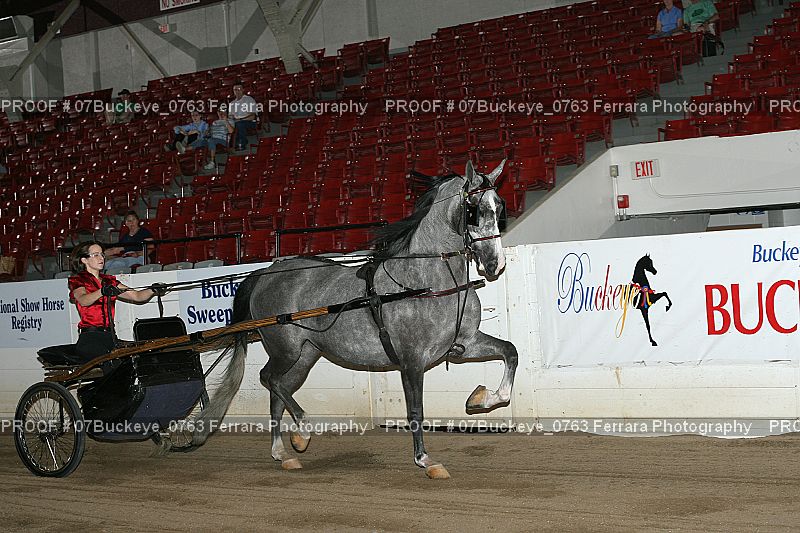 Proof 07Buckeye_0763