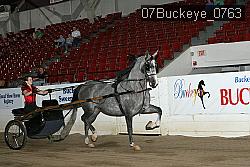 07Buckeye_0763 proof