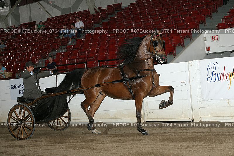 Proof 07Buckeye_0764