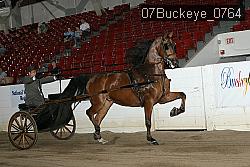 07Buckeye_0764 proof