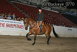 07Buckeye_0770 proof