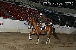 07Buckeye_0772 proof