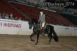 07Buckeye_0774 proof