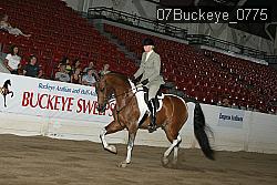 07Buckeye_0775 proof