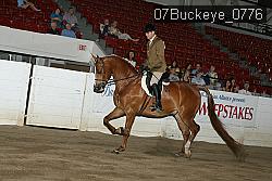 07Buckeye_0776 proof