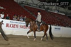 07Buckeye_0777 proof