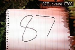 07Buckeye_0780 proof