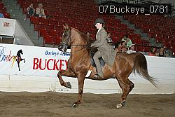 07Buckeye_0781 proof
