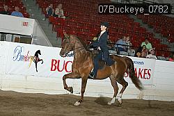 07Buckeye_0782 proof