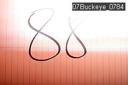 07Buckeye_0784 proof