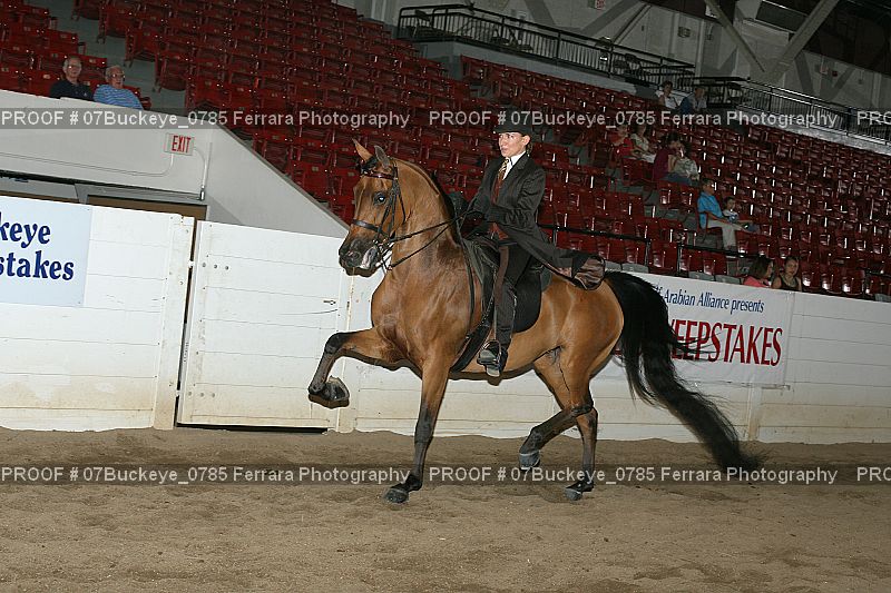 Proof 07Buckeye_0785