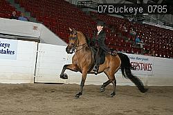 07Buckeye_0785 proof