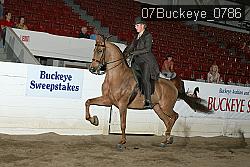 07Buckeye_0786 proof