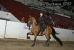 07Buckeye_0787 proof