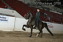 07Buckeye_0788 proof