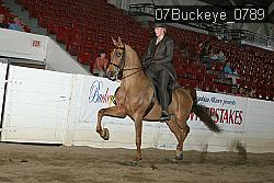 07Buckeye_0789 proof