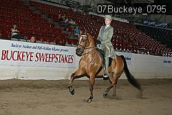 07Buckeye_0795 proof