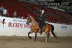 07Buckeye_0797 proof