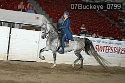 07Buckeye_0799 proof