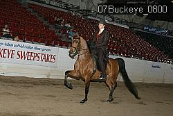 07Buckeye_0800 proof