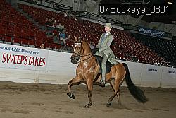 07Buckeye_0801 proof