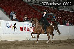 07Buckeye_0802 proof
