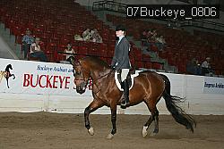 07Buckeye_0806 proof