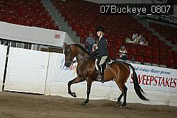 07Buckeye_0807 proof