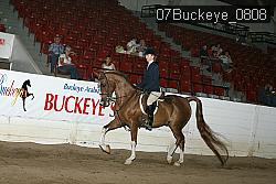 07Buckeye_0808 proof