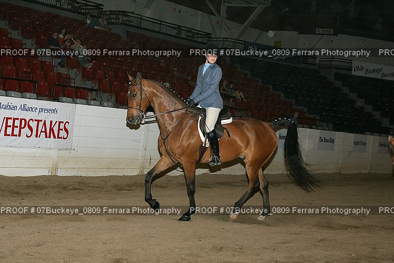 Proof 07Buckeye_0809