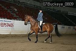 07Buckeye_0809 proof