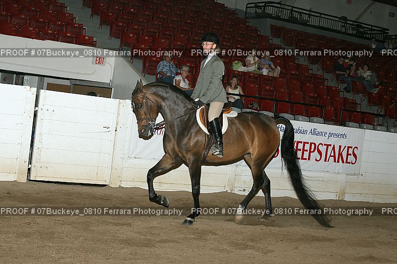 Proof 07Buckeye_0810