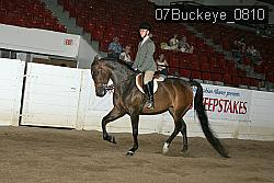 07Buckeye_0810 proof