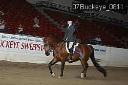 07Buckeye_0811 proof
