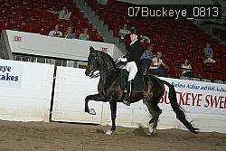 07Buckeye_0813 proof