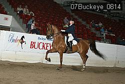 07Buckeye_0814 proof