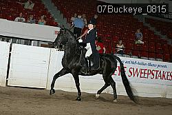 07Buckeye_0815 proof