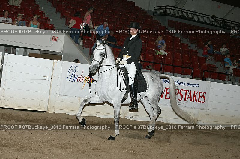 Proof 07Buckeye_0816