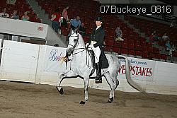 07Buckeye_0816 proof