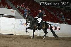 07Buckeye_0817 proof