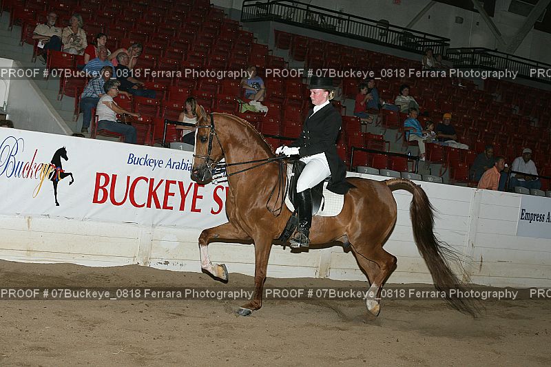 Proof 07Buckeye_0818