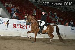 07Buckeye_0818 proof