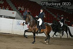07Buckeye_0820 proof