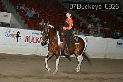 07Buckeye_0825 proof