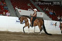 07Buckeye_0835 proof