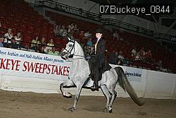 07Buckeye_0844 proof