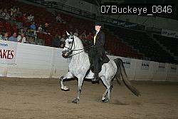 07Buckeye_0846 proof
