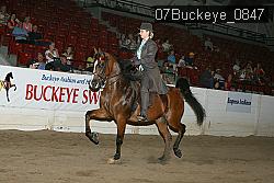 07Buckeye_0847 proof