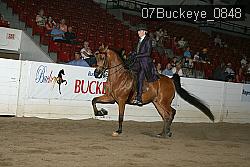 07Buckeye_0848 proof