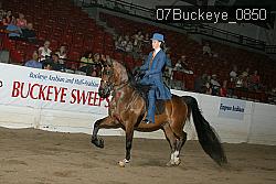 07Buckeye_0850 proof